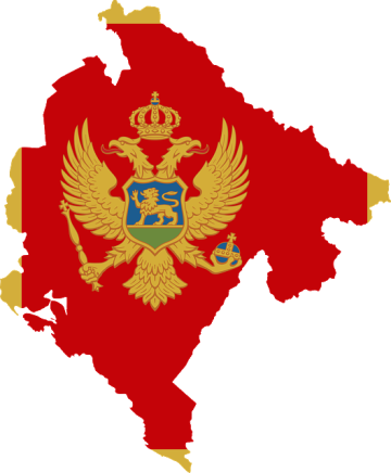 Доставка сборных грузов из Черногории