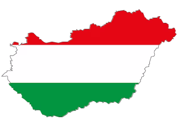 Доставка сборных грузов из Венгрии